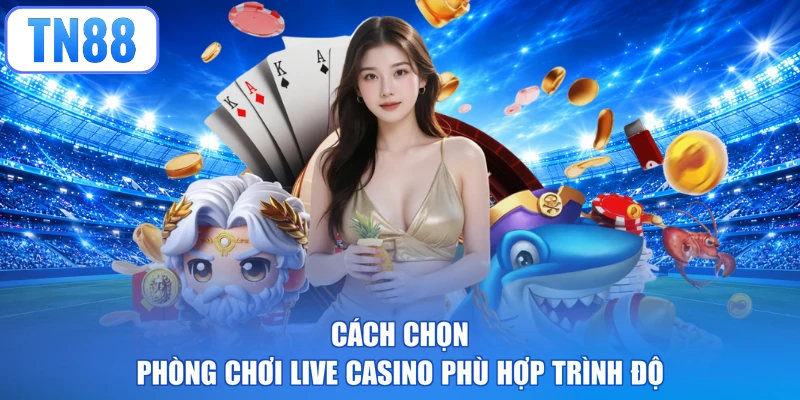 Cách chọn phòng chơi Live Casino phù hợp trình độ