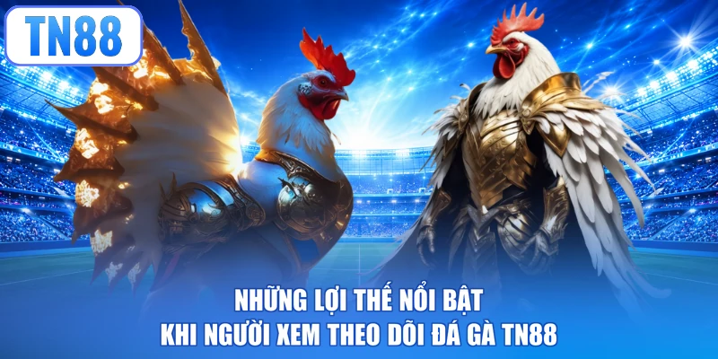 Những lợi thế nổi bật khi người xem theo dõi đá gà TN88